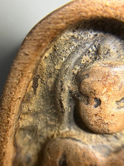 ซุ้มกอ องค์เนื้อเดียวกับที่โชว์ใน นสพ. รูปที่ 7