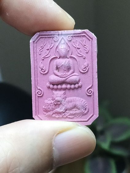 เปิดบูชาเหรียญเหนือดวง ชุดกรรมการ หลวงพ่อเณร รูปที่ 7