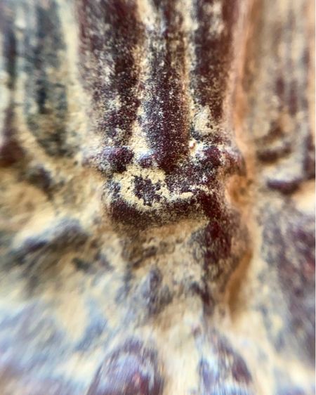 พระร่วงหลังรางปืน พิมพ์นิยม กรุวัดพระศรีรัตนมหาธาตุราชวรวิหาร(กรุวัดพระปรางค์) รูปที่ 11