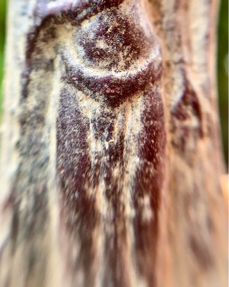 พระร่วงหลังรางปืน พิมพ์นิยม กรุวัดพระศรีรัตนมหาธาตุราชวรวิหาร(กรุวัดพระปรางค์) รูปที่ 9