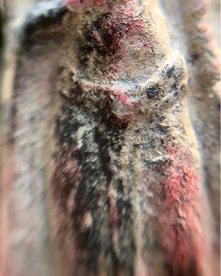 พระร่วงหลังรางปืน รูปที่ 10