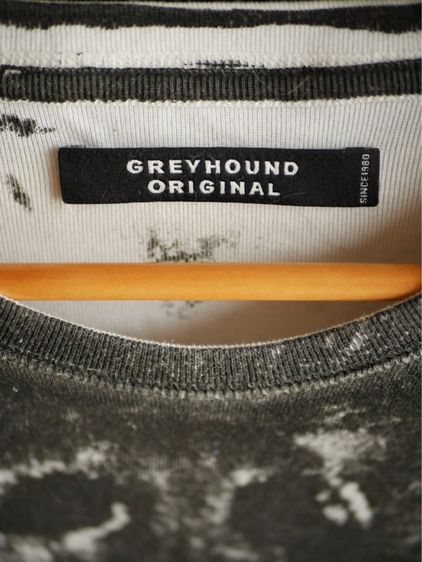 Grayhound รูปที่ 2