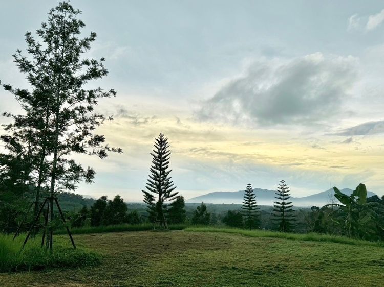 ขายสวนทุเรียนขั้นบันได + บ้านพักสไตล์รีสอร์ท บนเนินเขา วิวหลักล้าน รูปที่ 2