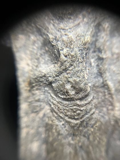 พระร่วงยืนเนื้อชินเงินหลังหลังปืน รูปที่ 13