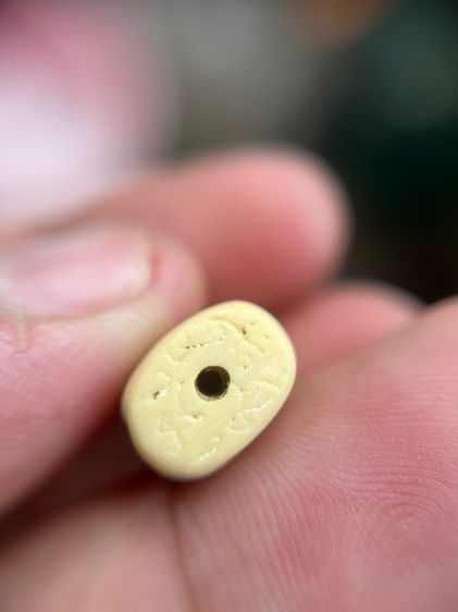 เสือ(มีสินค้าหลายรายการกดเข้ามาดูในโปรไฟล์ได้เลยครับ) รูปที่ 5