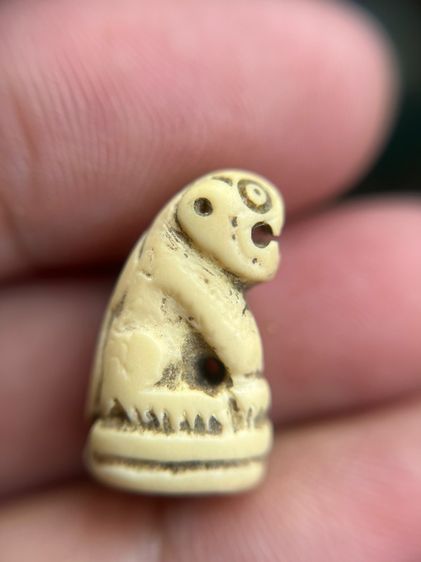 เสือ(มีสินค้าหลายรายการกดเข้ามาดูในโปรไฟล์ได้เลยครับ) รูปที่ 3