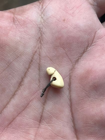 เสือ(มีสินค้าหลายรายการกดเข้ามาดูในโปรไฟล์ได้เลยครับ) รูปที่ 6