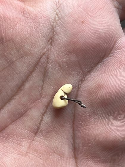 เสือ(มีสินค้าหลายรายการกดเข้ามาดูในโปรไฟล์ได้เลยครับ) รูปที่ 7