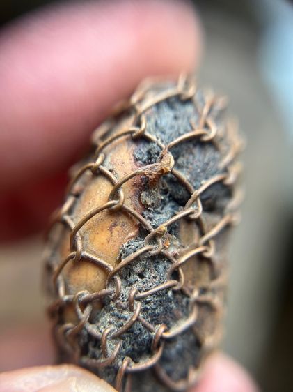 เบียร์แก้ไม่ทราบที่ปรอทวิ่ง(มีสินค้าหลายรายการกดเข้ามาดูในโปรไฟล์ได้เลยครับ) รูปที่ 5