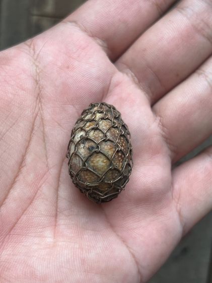 เบียร์แก้ไม่ทราบที่ปรอทวิ่ง(มีสินค้าหลายรายการกดเข้ามาดูในโปรไฟล์ได้เลยครับ) รูปที่ 6