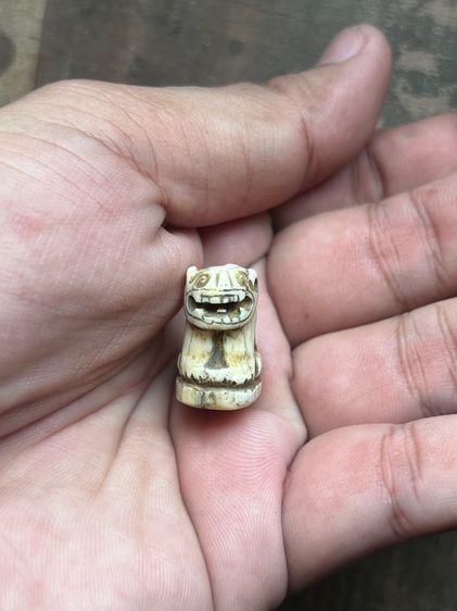 เสือ(มีสินค้าหลายรายการกดเข้ามาดูในโปรไฟล์ได้เลยครับ) รูปที่ 8