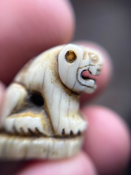 เสือ(มีสินค้าหลายรายการกดเข้ามาดูในโปรไฟล์ได้เลยครับ) รูปที่ 2