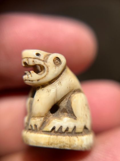 เสือ(มีสินค้าหลายรายการกดเข้ามาดูในโปรไฟล์ได้เลยครับ)