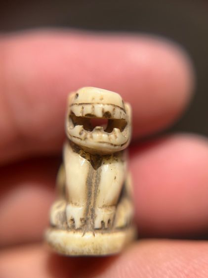 เสือ(มีสินค้าหลายรายการกดเข้ามาดูในโปรไฟล์ได้เลยครับ) รูปที่ 3