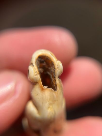 เสือ(มีสินค้าหลายรายการกดเข้ามาดูในโปรไฟล์ได้เลยครับ) รูปที่ 4