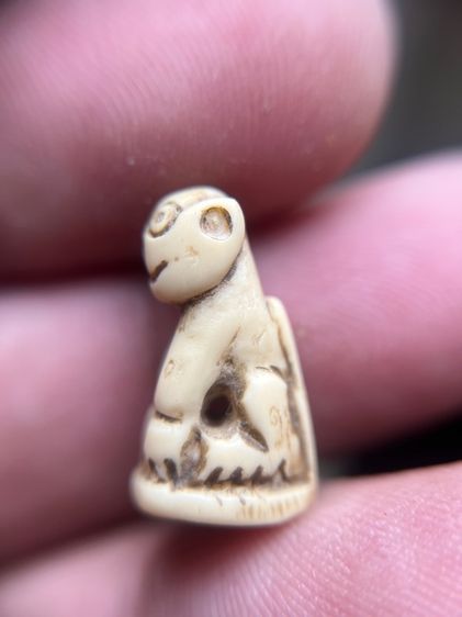 เสือ(มีสินค้าหลายรายการกดเข้ามาดูในโปรไฟล์ได้เลยครับ) รูปที่ 3