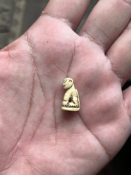 เสือ(มีสินค้าหลายรายการกดเข้ามาดูในโปรไฟล์ได้เลยครับ) รูปที่ 5