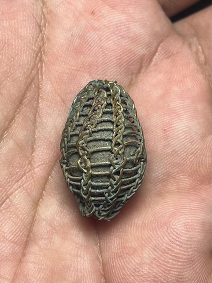 หมากทุยเปลือยถักลวด(มีสินค้าหลายรายการกดเข้ามาดูในโปรไฟล์ได้เลยครับ) รูปที่ 4