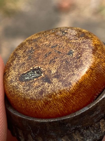 เครื่องราง รูปที่ 6