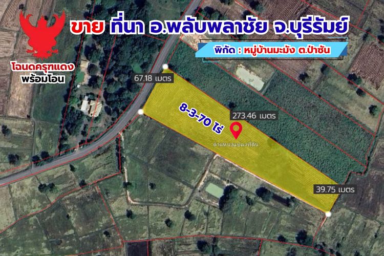 ที่ดินที่นา ทำเลสวย ปลูกบ้านได้, ติดถนนดำผ่านหน้าเเปลง รูปที่ 3