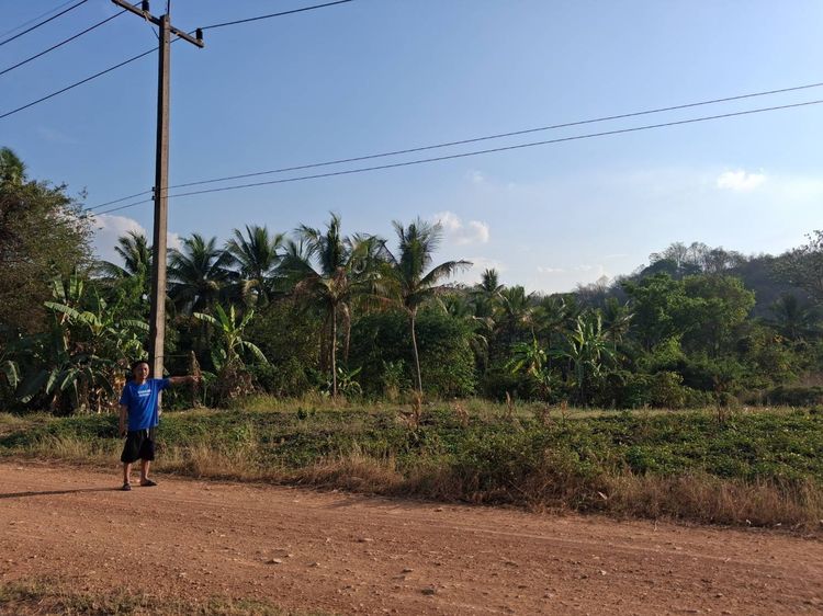 ที่ดิน9ไร่2งานเพรชบูรณ์ ถูกกว่าราคาประเมิน รูปที่ 2