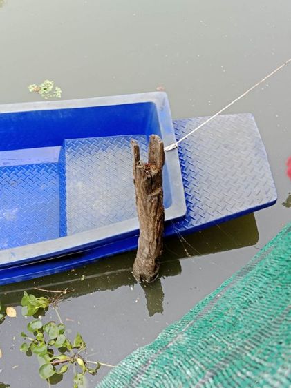 ปล่อยต่อครับ รูปที่ 4