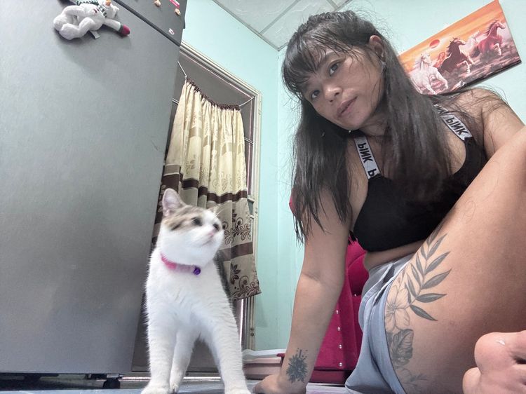 แมวx  รูปที่ 2