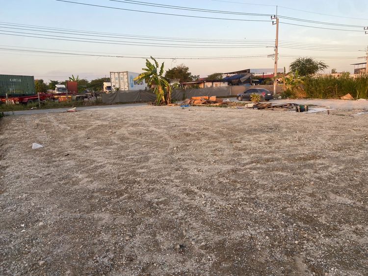 ขายที่เปล่า 101 ตรว.ติดถนนคอนกรีต  รูปที่ 4