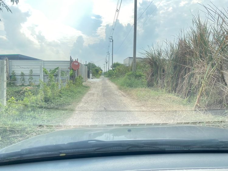 ขายหรือปล่อยเช่า ที่เปล่า 101ตรว น้ำไฟ พร้อม รูปที่ 3