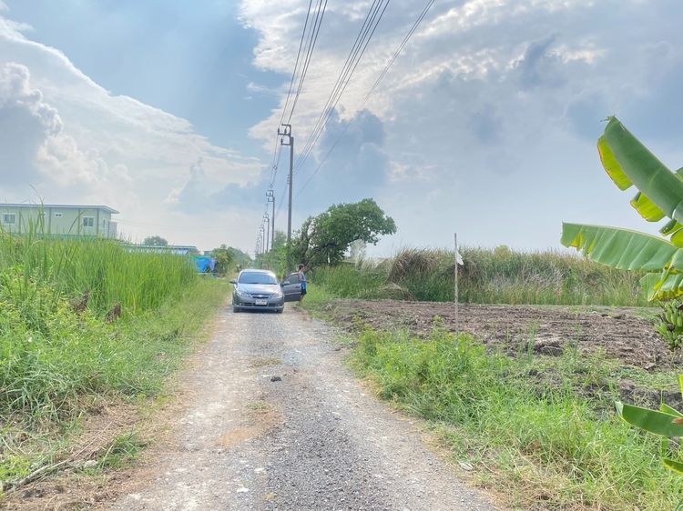 ขายหรือปล่อยเช่า ที่เปล่า 101ตรว น้ำไฟ พร้อม รูปที่ 2