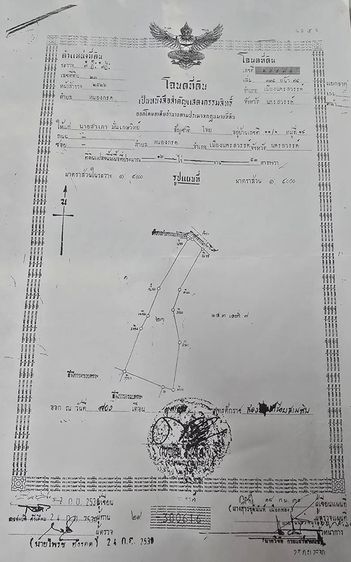 ขายที่ดิน 22-3-21 ไร่ ที่สวย ราคาถูก บรรยากาศดี รูปที่ 2