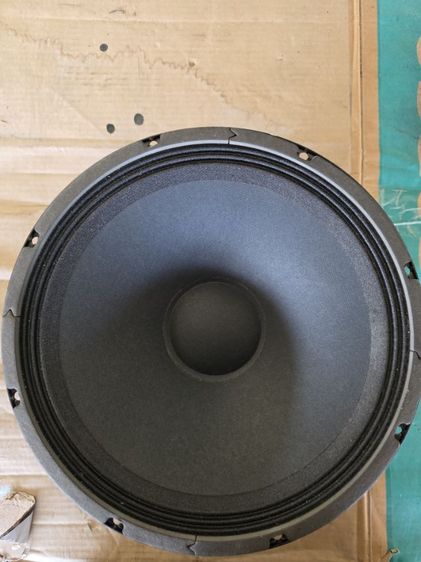 ดอกลำโพง 12 นิ้ว EMINENCE USA 1 ดอก รูปที่ 2