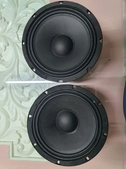 ดอกลำโพงซับ EV ELECTRO-VOICE  10 1 คู่ รูปที่ 3