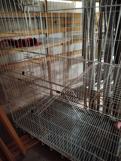 กรงใส่สัตว์เลี้ยงขนาดใหญ่ รูปที่ 8