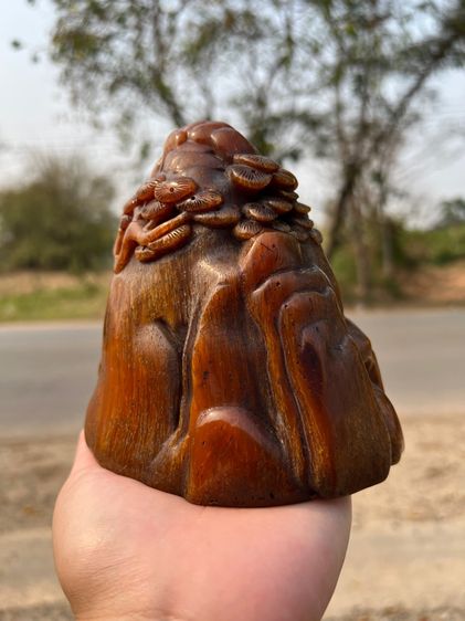 เขานอ รูปที่ 4