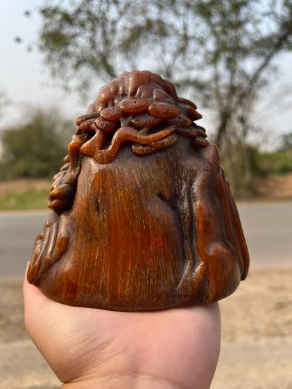 เขานอ รูปที่ 5