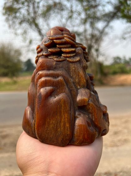 เขานอ รูปที่ 3