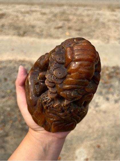 เขานอ รูปที่ 7