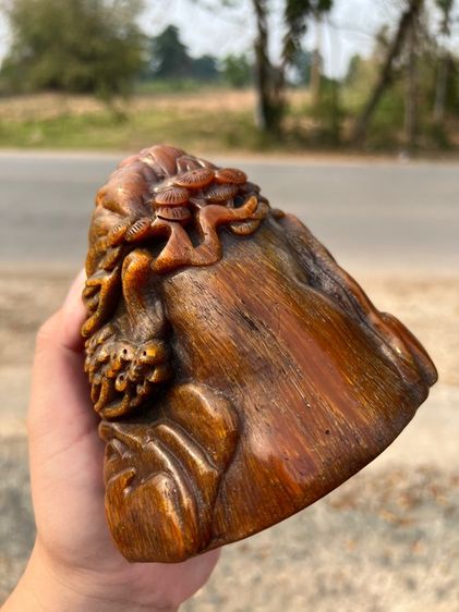 เขานอ รูปที่ 10