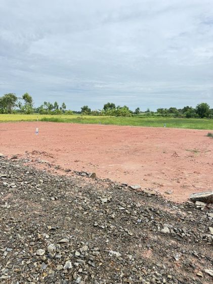 ขายที่ดินเปล่า 50 ตรว อ.บ้านนา จ.นครนายก รูปที่ 2