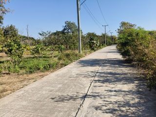 ขายที่ดิน อำเภอเมือง จังหวัดเพชรบูรณ์ น้ำไฟถนนครบพร้อมสร้างบ้าน ในที่ดินมีต้นไม้หลายสายพันธุ์และสระน้ำ