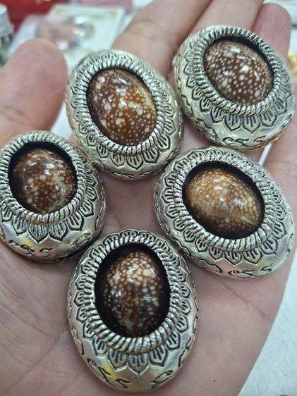 เบี้ยแก้