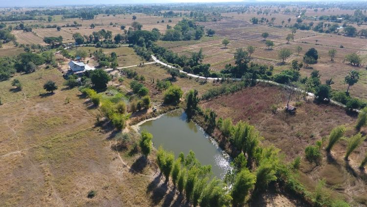 ขายด่วน 1.6 ลบ บ้านพร้อมที่ดินทำเลทอง โคกสำโรง ลพบุรี วิวธรรมชาติหลักล้าน ใกล้ตลาดและสิ่งอำนวยความสะดวกครบครัน เจ้าของขายเอง รูปที่ 2