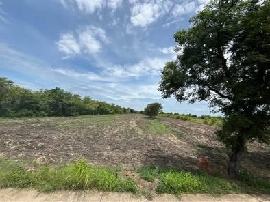 ขายที่ดินลพบุรี