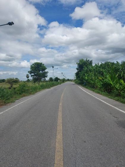 ใช่ ขายที่ดินติดลำหวยใหญ่ห่างจากกรุงเทพ160 ก.ม รูปที่ 2