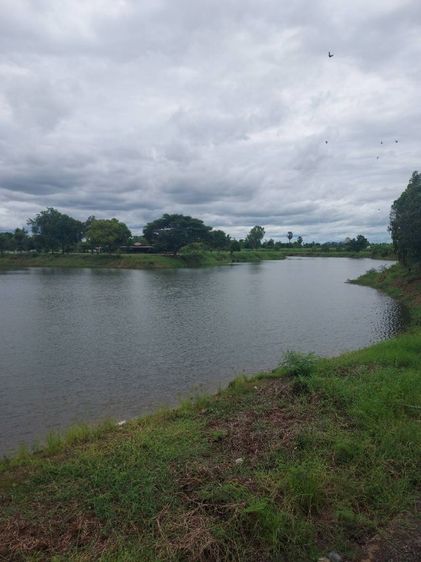 ใช่ ขายที่ดินติดลำหวยใหญ่ห่างจากกรุงเทพ160 ก.ม รูปที่ 3