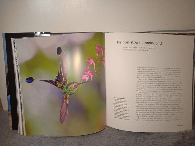 BBC Life story book นังสือนอกเวลาภาษาอังกฤษ รูปที่ 6