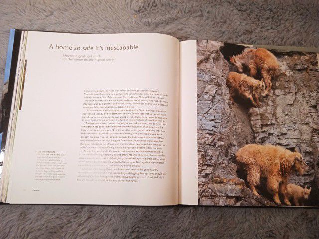 BBC Life story book นังสือนอกเวลาภาษาอังกฤษ รูปที่ 7