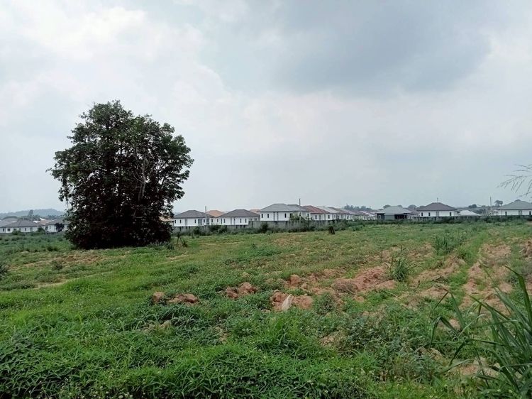 ⚡ 🌳ขายที่ดิน แถววัดเนินกระบก บ่อวิน ศรีราชา 1 ไร่ ราคาเพียง 3.8 ลบ.⚡ รูปที่ 3