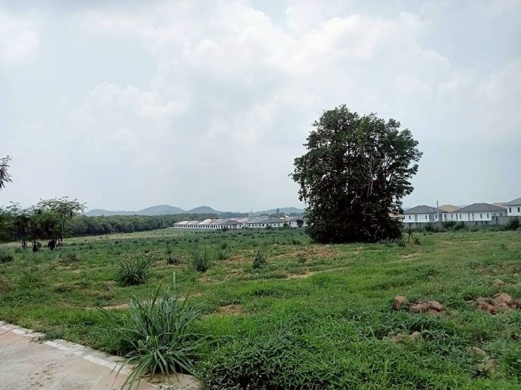 ⚡ 🌳ขายที่ดิน แถววัดเนินกระบก บ่อวิน ศรีราชา 1 ไร่ ราคาเพียง 3.8 ลบ.⚡